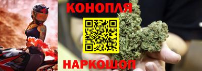 гидра Пугачёв
